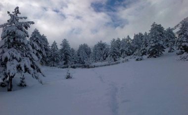 Reshje bore edhe në zonat bregdetare të Shqipërisë