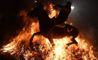 Kuajt detyrohen të lëvizin mbi flakë, në ceremoninë e ‘pastrimit’ të festivalit spanjoll (Video)