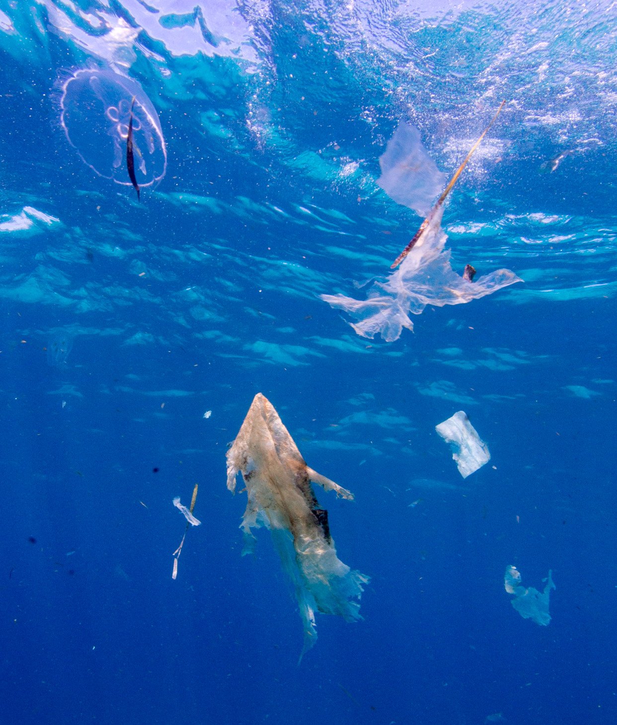 Остров человек в океане. Пластик в океане. Загрязнение океана. Экология океана. Пластиковые острова в океане.