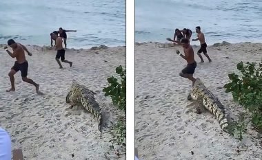 Një krokodil shfaqet në plazh, turistët ikin të tmerruar (Video)