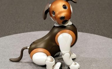 Sony lanson robotin në formë qeni, për kontrollin e shtëpisë dhe banorëve që jetojnë në të (Foto)