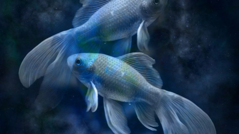 Pse më së vështiri janë Peshqit në horoskop për t’u kuptuar