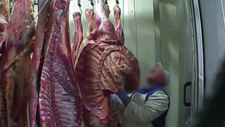 Frikë nga mishi i lopëve të sëmura: Mishi nga thertorja polake është shpërndarë në 11 shtete tjera