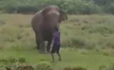 U mundua ta hipnotizonte, elefanti shtyp për vdekje burrin në Shri Lankë (Video, +18)