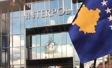 Thellohen mëdyshjet e Kosovës për INTERPOL