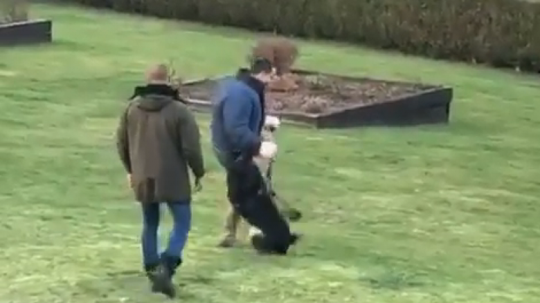 John Terry sulmohet nga qentë, intervenon pronari për ta shpëtuar