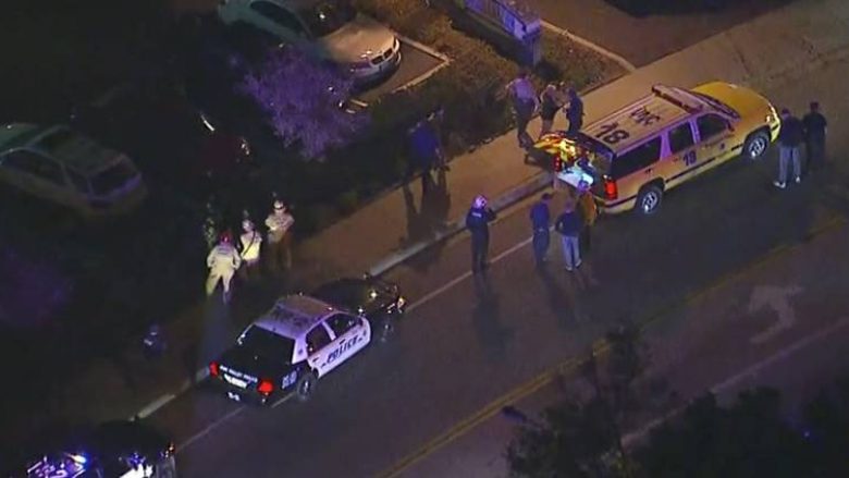Sulm me armë zjarri në Los Anxhelos, raportohet për viktima (Video +18)