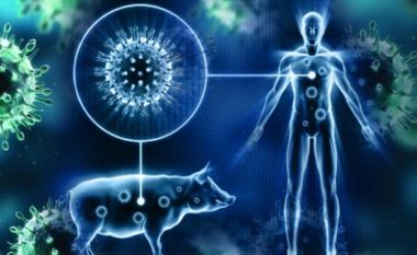 Gripi i derrave: Shkaktari, simptomat, parandalimi dhe komplikimet