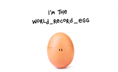 Zgjidhet misteri dhe zbulohet ideatori i llogarisë së vezës në Instagram, që u bë sensacion (Foto/Video)