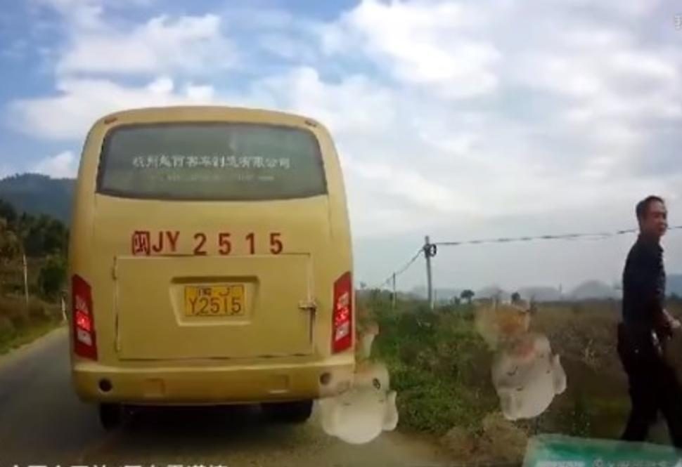 Ndali autobusin në skaj të rrugës për të urinuar, derisa kaloi rrugën për pak sa nuk e pësoi nga vetura që lëvizte (Video)