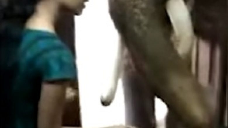 Elefantin që iu erdhi te dera, e ushqyen me banane para se ta përcjellin sërish (Video)