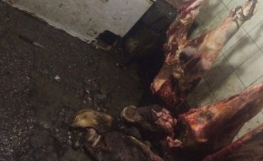 Aktakuzë ndaj katër personave që u kapën me rreth 1100 kilogramë mish të prishur në Pejë