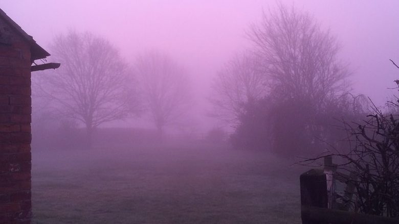 Mjegulla e rrallë me ngjyrë rozë, e ka mbuluar gjatë mëngjesit një pjesë të Anglisë (Foto)