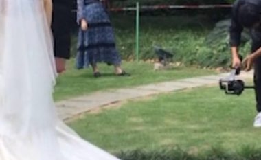 Nusja kineze eci drejt altarit, me një mace që nuk i largohej nga pjesa pasme e fustanit (Video)