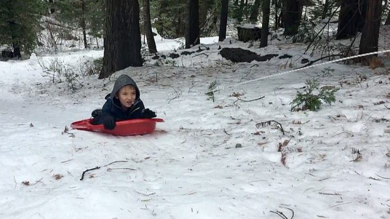 Nxori dhëmbin e qumështit të lidhur për peri, derisa lëshohej me sajë (Video)