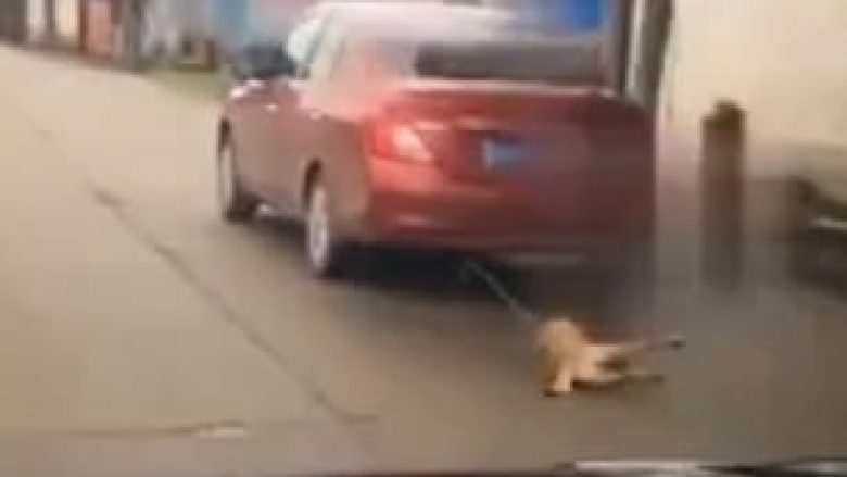 Qenin e prindërve e tërhoqi zvarrë me veturë, nga frika se mos po e kafshonte (Video)
