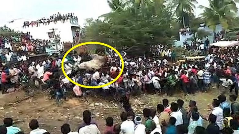 Ngjarja fetare gati shndërrohet në tragjedi, demi me shpejtësi “kërcen” mbi një turmë njerëzish në Indi (Video)