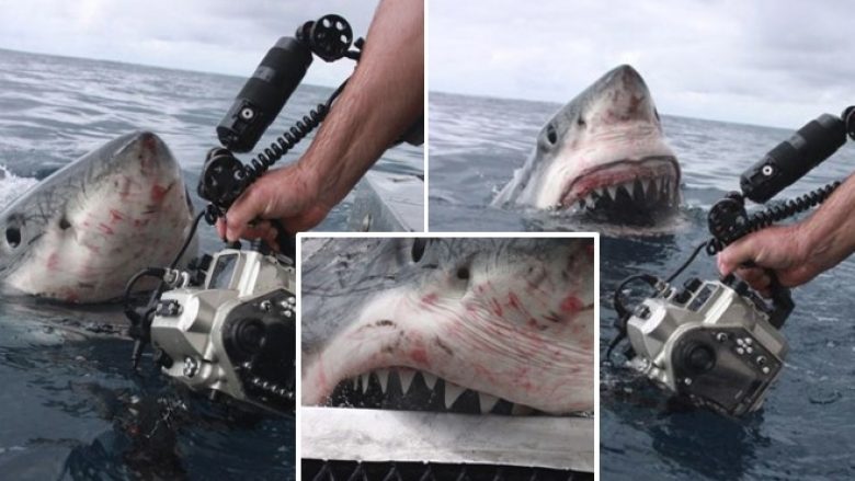Momenti kur peshkaqeni hidhet në drejtim të fotografit – dhe ai vazhdon të bëjë fotografi (Foto)