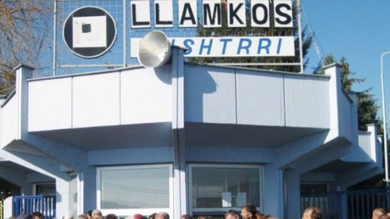 Gjykata hedh në shitje “Llamkosin”, rreth 500 punëtorë mund të mbesin pa punë