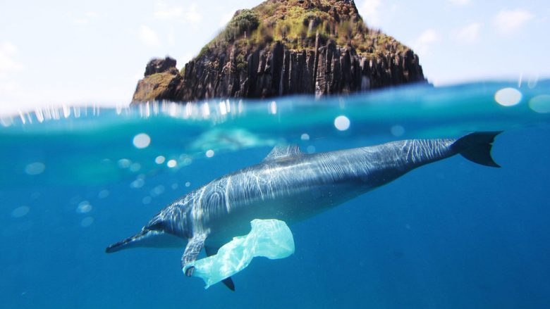 Po bëhet keq e më keq: Deri në vitin 2050, në dete e oqeane do të ketë më shumë plastikë sesa peshq!