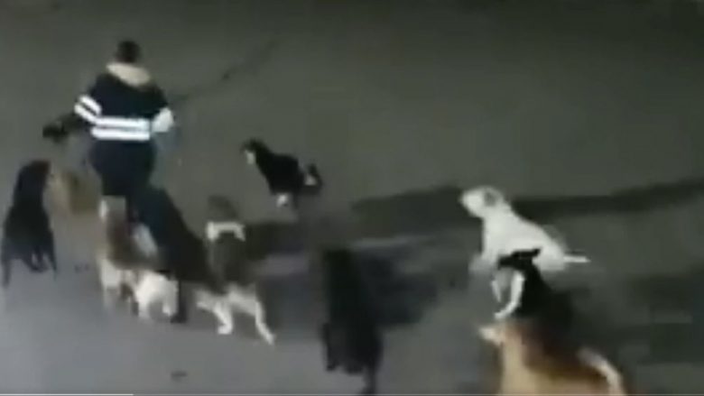 Qentë sulmojnë dhe mbysin një grua, publikohen pamjet e ngjarjes së tmerrshme në Meksikë (Video)