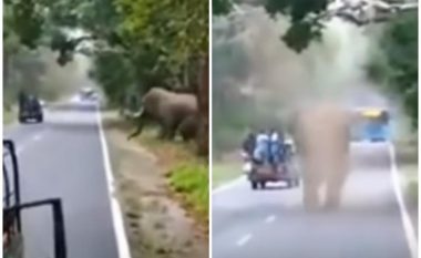 Elefanti i uritur i vërsulet turistëve, në sekondat e fundit i shpëtojnë më të keqes (Video)