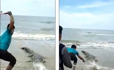 Krokodili ngec në rrjetën e peshkimit, e mbysin duke e goditur me çekan – reagon ashpër opinioni në Malajzi (Video, +18)