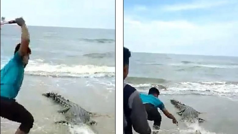 Krokodili ngec në rrjetën e peshkimit, e mbysin duke e goditur me çekan – reagon ashpër opinioni në Malajzi (Video, +18)