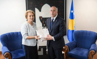 Haradinaj: Qeveria do t’i mbështesë veprimtaritë humanitare