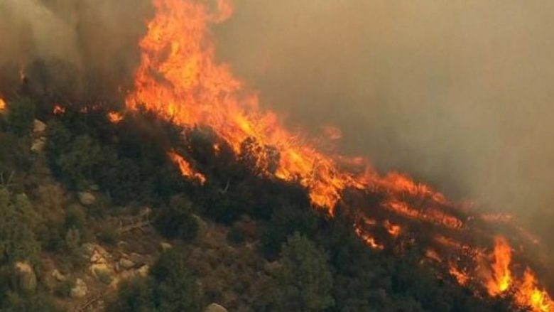 Vetëm muajin e kaluar janë regjistruar 70 zjarre në Maqedoni, institucionet apelojnë për përgjegjësi