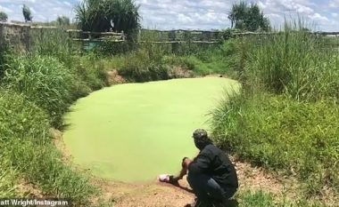 Aligatori i kamufluar në ujin e turbullt, tmerron me daljen e pa pritshme (Video)