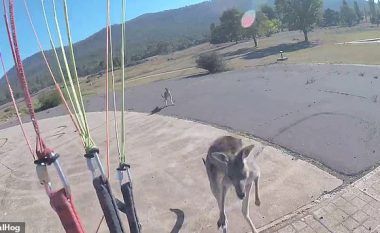 Aterroi me sukses në hapësirën e planifikuar, u sulmua nga kangurët që ndodheshin në afërsi (Video)