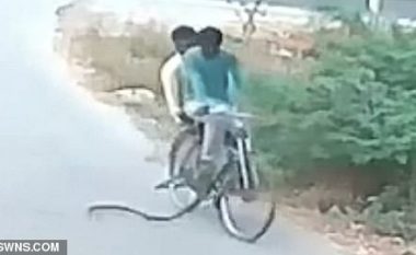 Çiklisti me shoqëruesin u larguan me shpejtësi, kur një gjarpër iu ngatërrua në biçikletë (Video)
