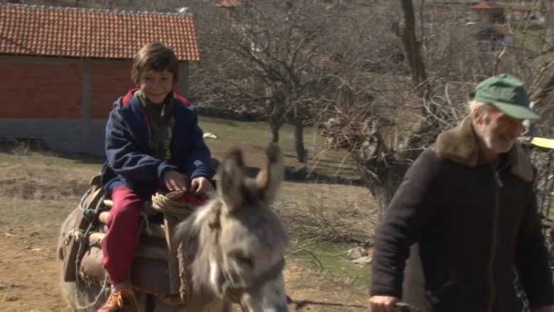 Edhe pse është shekulli XXI, vogëlushi i sëmurë nga një fshat në Shkup me gomar udhëton për në shkollë (Video)