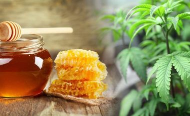 A mundet mjalti të na i zbusë simptomat e alergjisë pranverore?