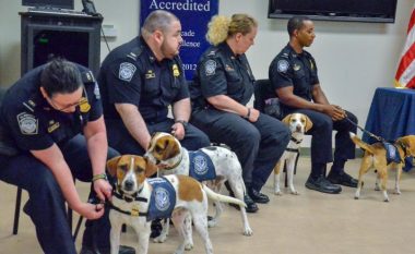 Ata do të vendosen në aeroportet më të ngarkuara – këta janë qentë që do të ndihmojnë SHBA-të për të shpëtuar miliarda dollarë (Foto)