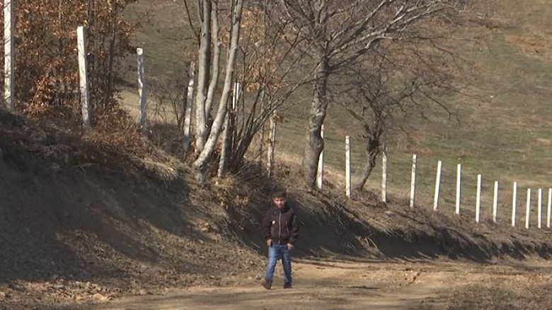 Vesekovci i Vushtrrisë, fshati që i kanë mbetur vetëm dy familje (Video)