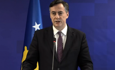 McAllister: Dalogu mes Kosovës dhe Serbisë të rifillojë dhe të arrihet një marrëveshje mes dy palëve