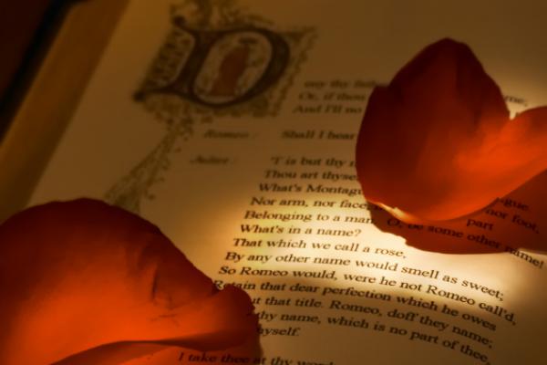 Në Ditën Ndërkombëtare të Poezisë, Libraria “Dukagjini” propozon veprat që duhet lexuar