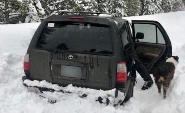 Një burrë i bllokuar në borë për pesë ditë thotë se mbijetoi duke ngrënë salcë (Foto)