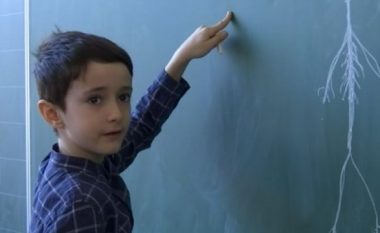 Ditrini, tetëvjeçari që harton teste për mësimdhënësit kosovarë