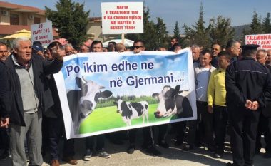 Fermerët e Lushnjës protestojnë kundër skemës së TVSH-së