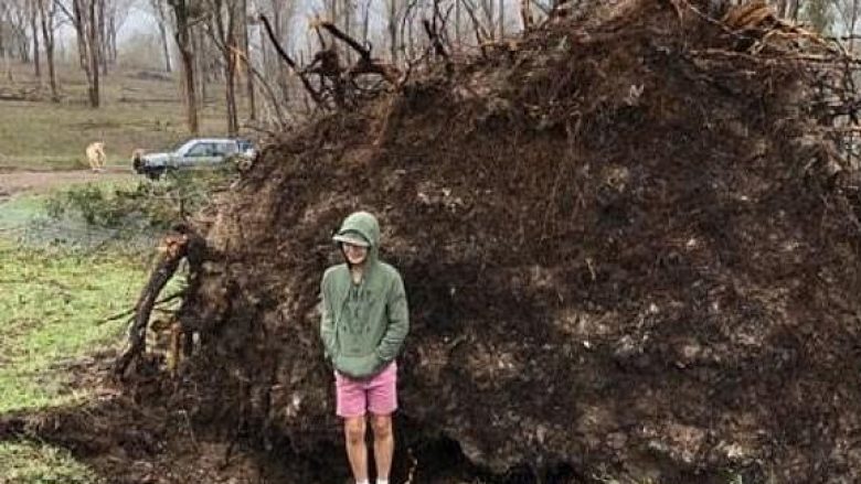 Pema e rrëzuar nga stuhia, papritmas “u kthye në vend” – djaloshi që gjendej afër saj e pëson keq (Foto)