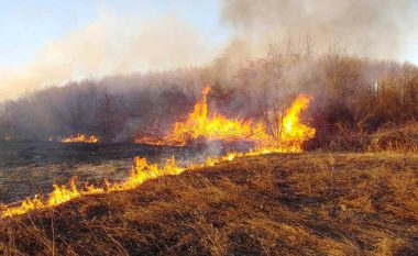 Policia apelon te qytetarët të mos ndezin zjarre në natyrë