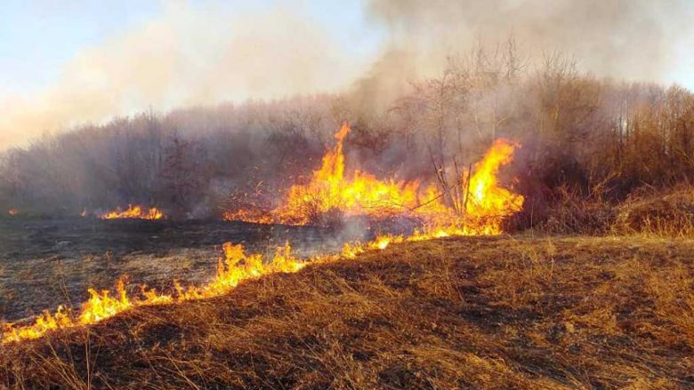 Zjarr në malet e fshatit Dollogozhdë në Strugë
