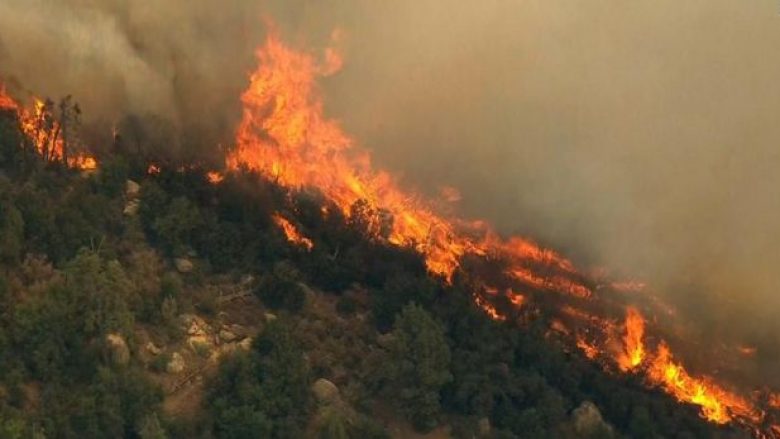Dy zjarrvënje në pyjet e Pejës, arrestohet një person