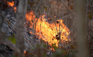 Lokalizohet zjarri në Drenovec të Tetovës, duke mos lejuar që të afrohet te shtëpitë