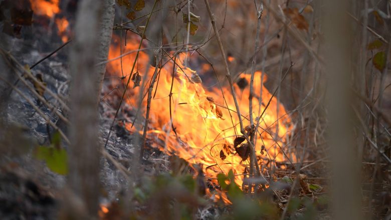 Ndezja e zjarrit në fushë i shkakton dëme materiale një ndërmarrje në Partesh