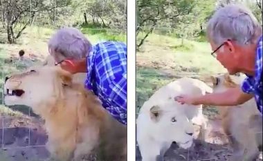 Deshi ta ledhaton luaneshën, turisti për pak sa nuk mbeti pa njërën dorë (Video, +18)