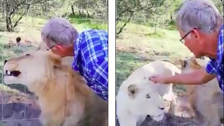 Deshi ta ledhaton luaneshën, turisti për pak sa nuk mbeti pa njërën dorë (Video, +18)